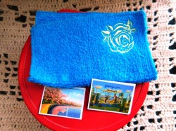 melody travel kit b
